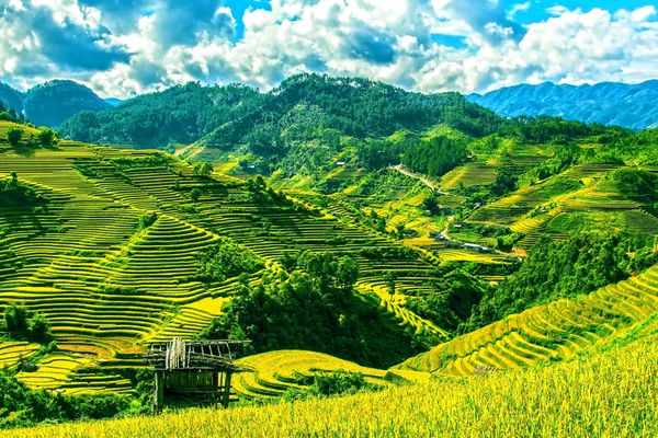 Circuit Vietnam du Nord au Sud, les incontournables 3* pas cher photo 19