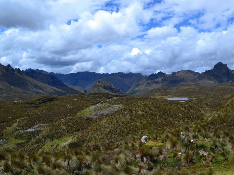 Circuit Sur le Chemin de l'Inca pas cher photo 4
