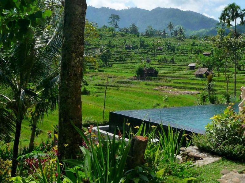 Circuit Privatif : Toutes Les Merveilles de Bali 4* pas cher photo 9