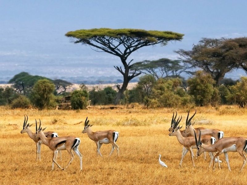 Circuit Magie de l'Afrique du Sud pas cher photo 1
