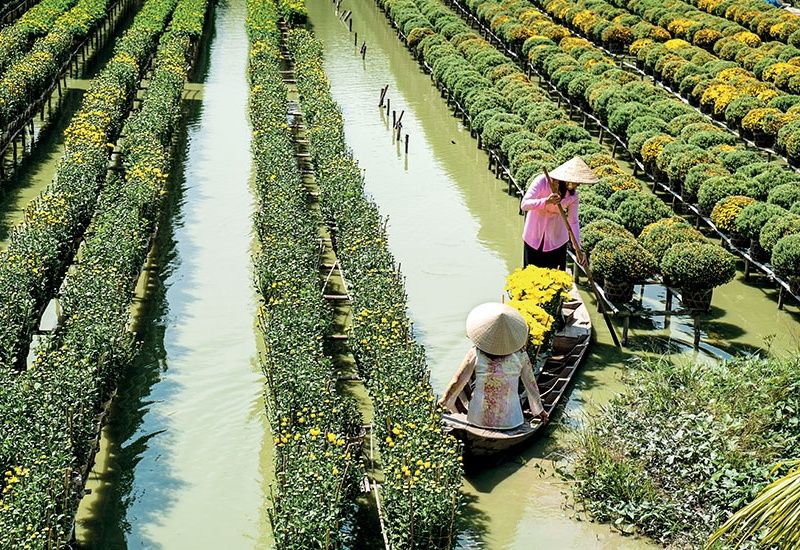 Circuit Le Grand Tour du Vietnam pas cher photo 1