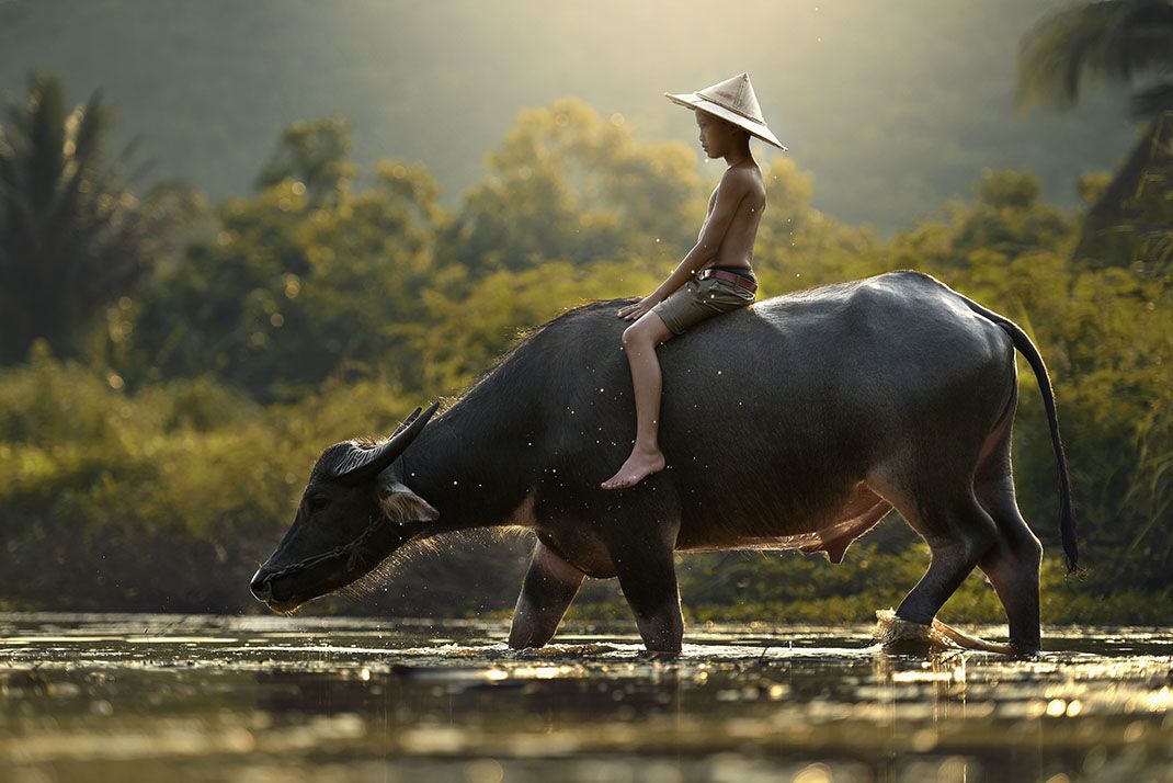 Regard sur le Cambodge + séjour à Koh Rong 2025 pas cher photo 14