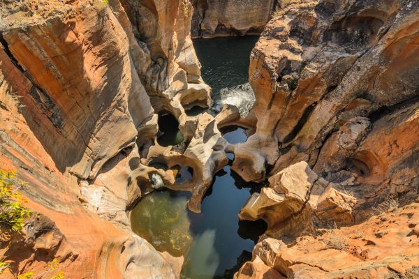 Circuit Du Cap de Bonne Espérance au Parc Kruger pas cher photo 19