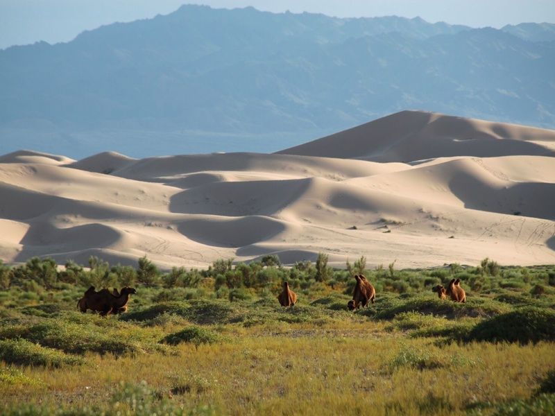 Circuit De la vallée d'Orkhon au désert de Gobi pas cher photo 4