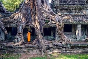 Cambodge Emotion + city break Singapour pas cher photo 2