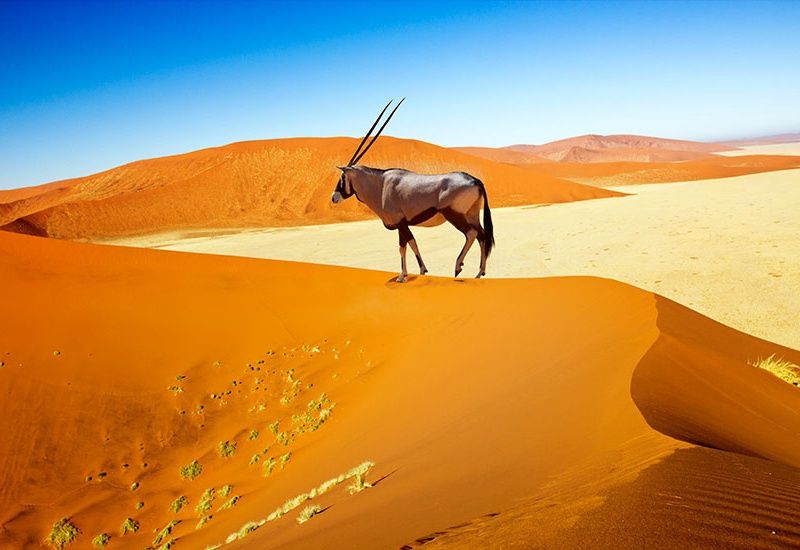 Circuit La Namibie, joyau de l'Afrique australe pas cher photo 3