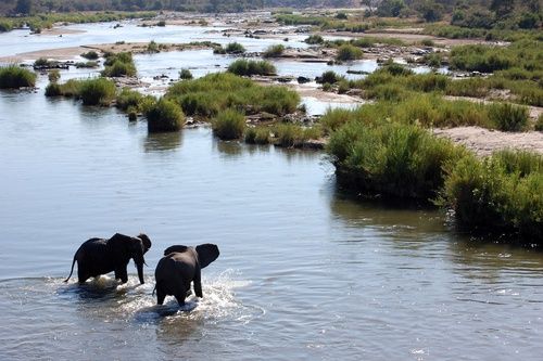 Splendeurs du Parc Kruger & Extension Chutes Victoria 13J/10N - 2025 pas cher photo 19