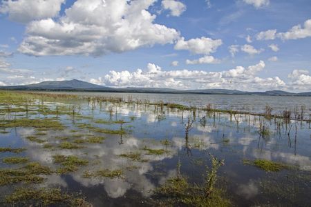Circuit Merveilles du Kenya & extension Plage de Tiwi pas cher photo 3