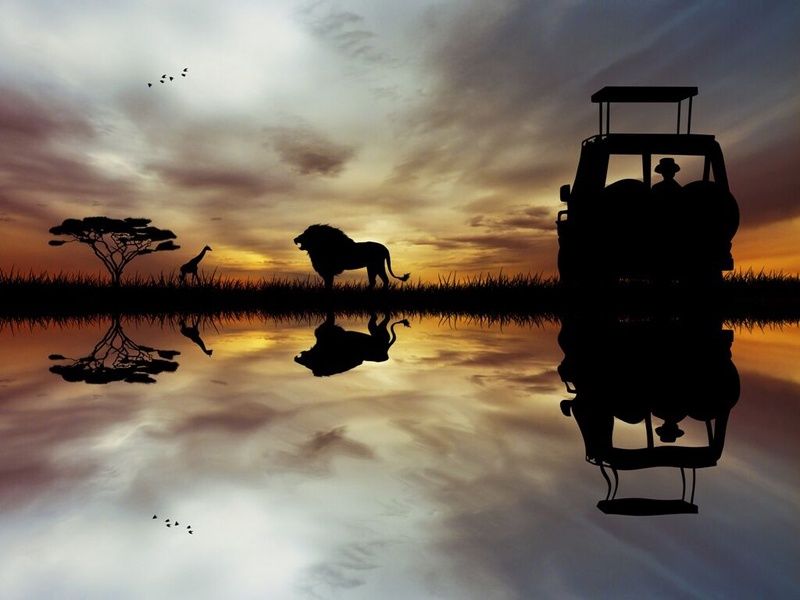 I Love Afrique du Sud & Chutes Victoria - 16J/13N - Du 10/01 au 21/03/26 pas cher photo 7