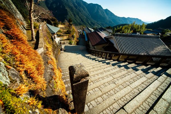 Circuit Au Coeur du Japon, Authentique et Insolite et extension Tokyo pas cher photo 13