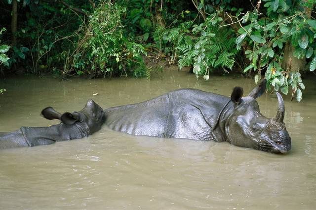 Circuit Népal Intimiste pas cher photo 17