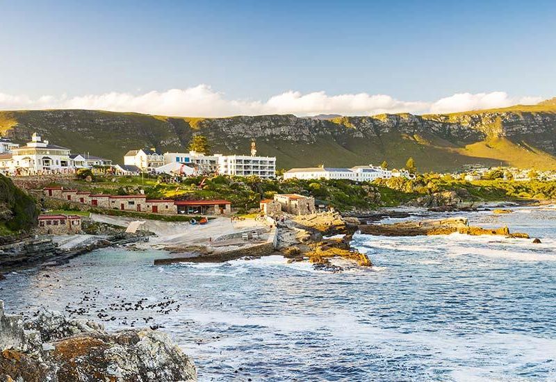 Circuit Afrique Australe, du Cap et Hermanus aux chutes Victoria pas cher photo 8