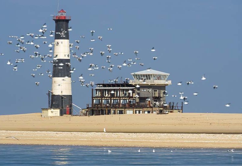 Périple au coeur des terres africaines, Namibie, Botswana, Zimbabwe pas cher photo 2