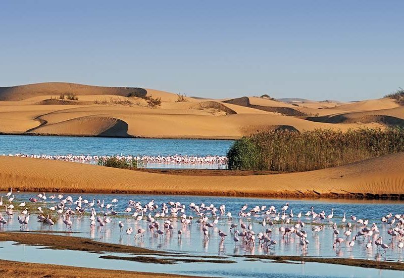 Périple au coeur des terres africaines, Namibie, Botswana, Zimbabwe pas cher photo 5