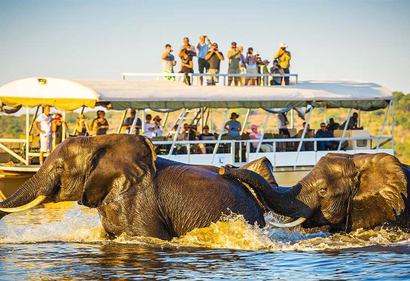 Périple au coeur des terres africaines, Namibie, Botswana, Zimbabwe pas cher photo 6