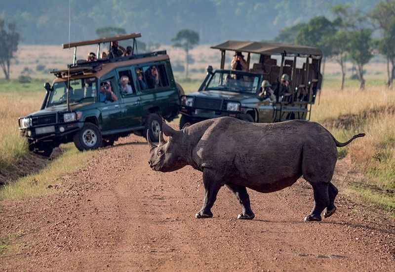 Périple au coeur des terres africaines, Namibie, Botswana, Zimbabwe pas cher photo 8
