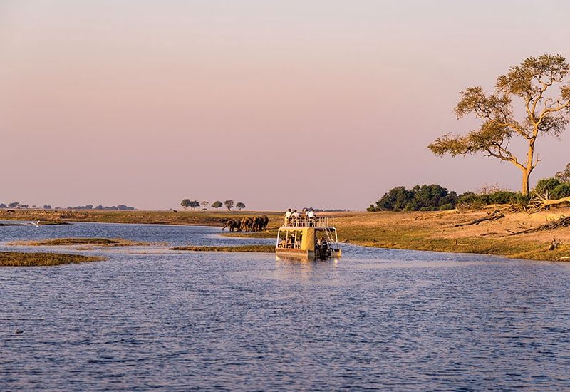 Périple au coeur des terres africaines, Namibie, Botswana, Zimbabwe pas cher photo 9