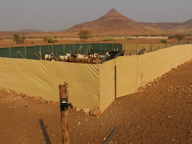Circuit Vie sauvage dans le désert du Kunene pas cher photo 4