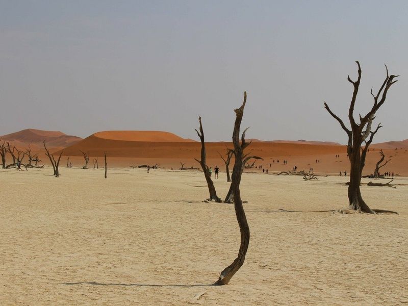 Circuit Vie sauvage dans le désert du Kunene pas cher photo 13