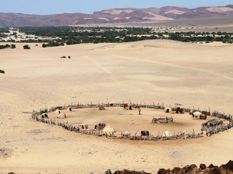 Circuit Vie sauvage dans le désert du Kunene pas cher photo 16