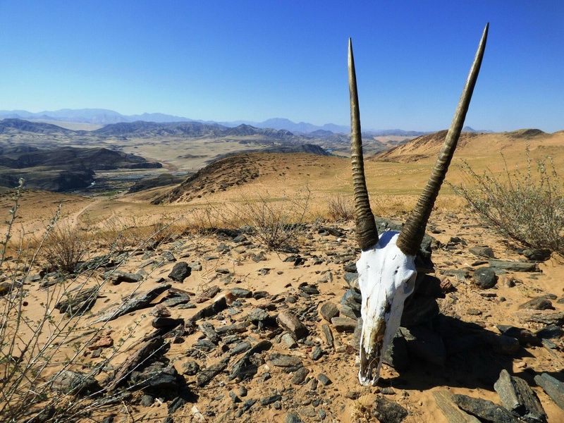 Circuit Vie sauvage dans le désert du Kunene pas cher photo 25