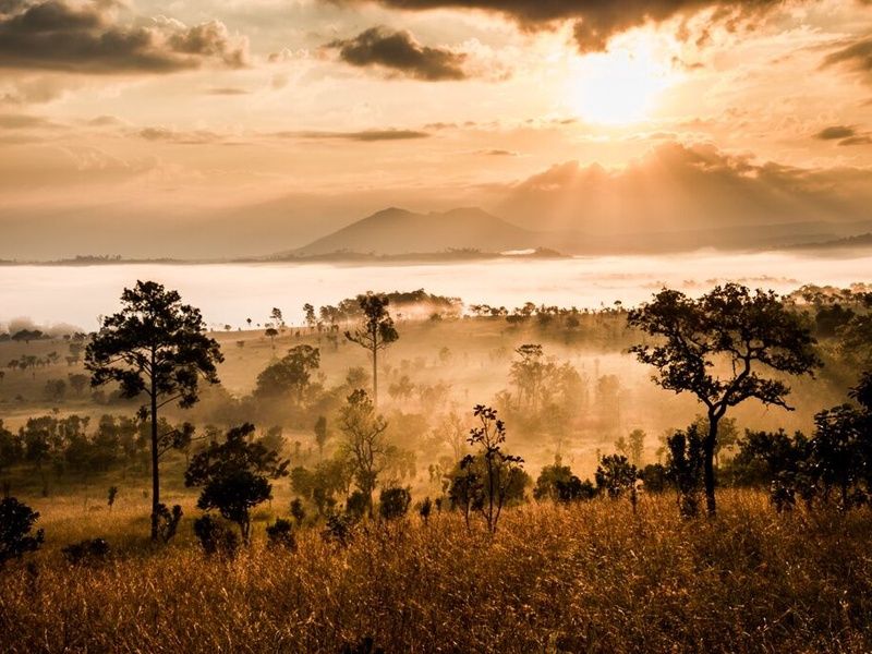 I Love Afrique du Sud, Chutes Victoria & Parc Chobe - 17J/14N 2026 pas cher photo 1