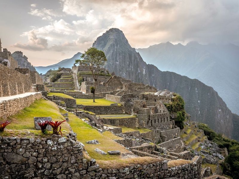 Impressions du Pérou et Amazonie 16J/14N - Limité à 18 pers - 2025/2026 pas cher photo 8