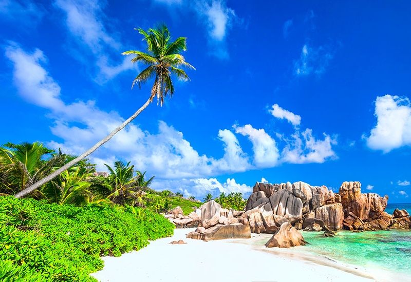 Circuit Magie des Seychelles pas cher photo 7