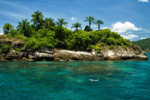 Circuit Baianas et Cariocas, Trésors du Brésil et Plaines du Pantanal pas cher photo 8