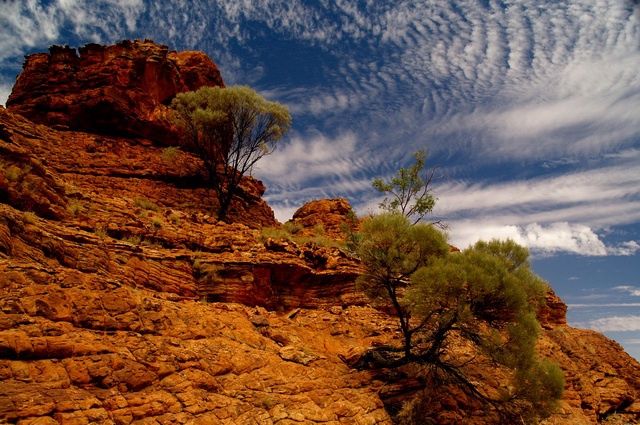 Mosaïque australienne pas cher photo 9