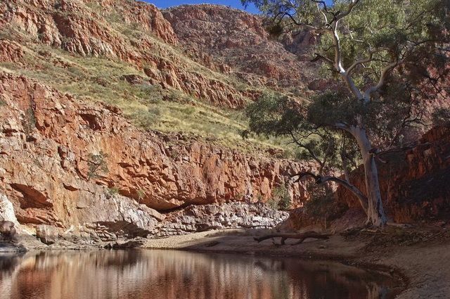 Mosaïque australienne pas cher photo 13
