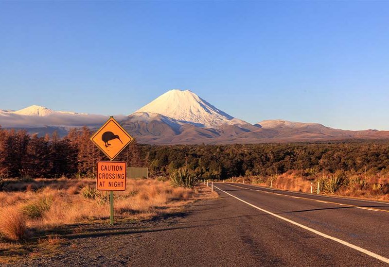 La Nouvelle-Zélande et l'Australie pas cher photo 6