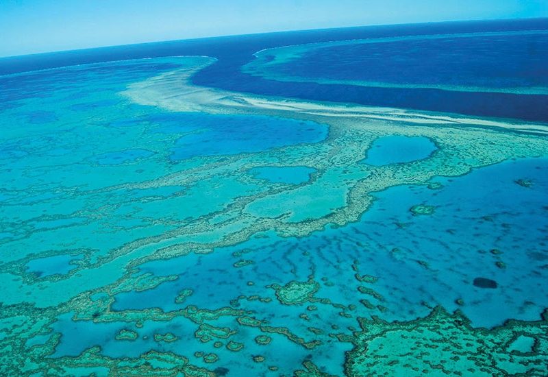 La Nouvelle-Zélande et l'Australie pas cher photo 10
