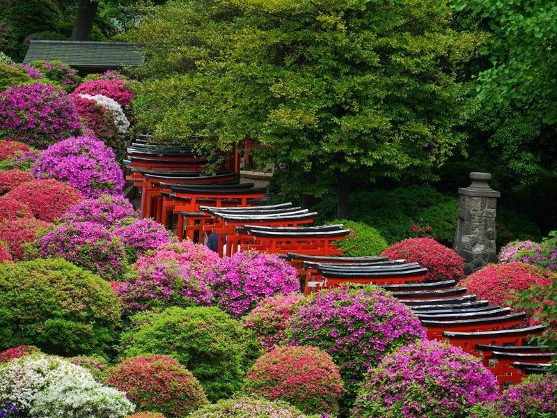 Le Japon d'Est en Ouest - Circuit Individuel pas cher photo 9