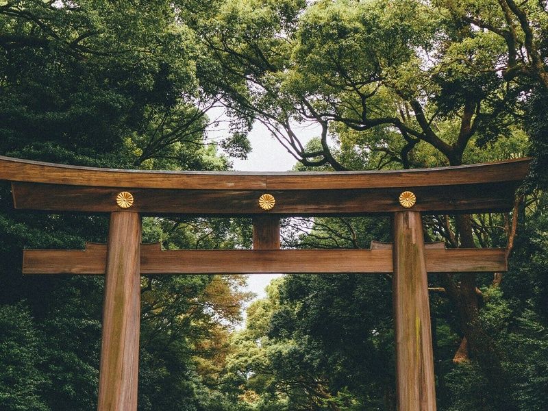 Le Japon d'Est en Ouest - Circuit Individuel pas cher photo 16