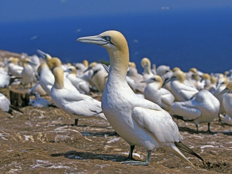 Magie du Canada - 14J/12N - 2025/26 pas cher photo 9