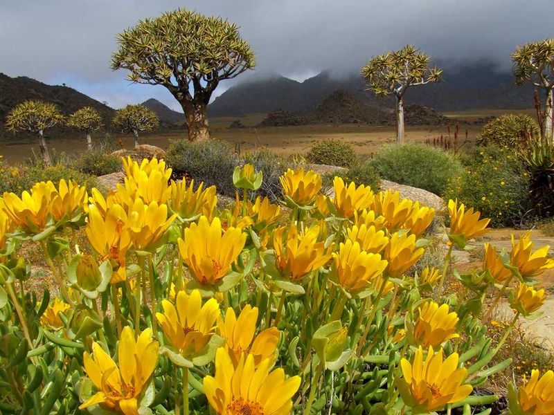 Circuit Chemins oubliés d'Afrique australe pas cher photo 5