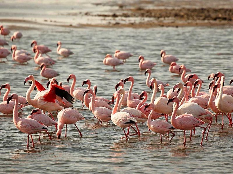 Circuit Chemins oubliés d'Afrique australe pas cher photo 10