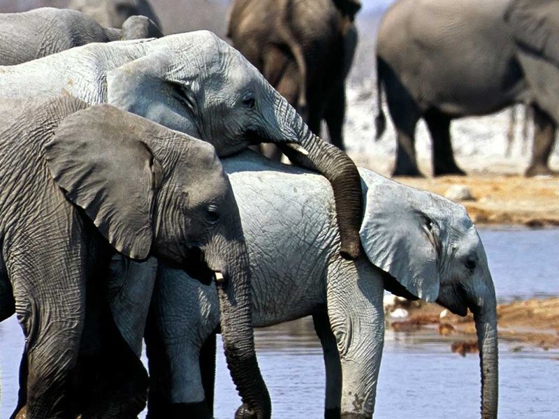 Circuit Chemins oubliés d'Afrique australe pas cher photo 15