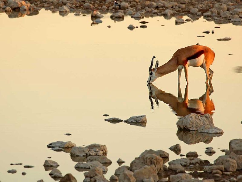Circuit Chemins oubliés d'Afrique australe pas cher photo 16