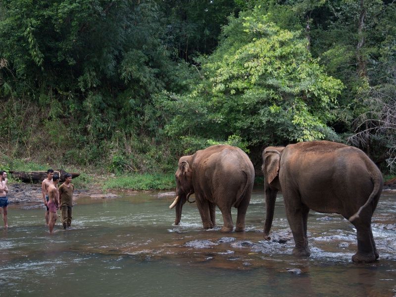 Circuit Cambodge secret, des îles du Mékong aux jungles du Mondulkiri pas cher photo 1
