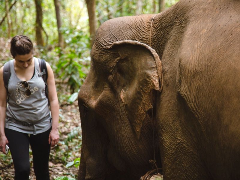 Circuit Cambodge secret, des îles du Mékong aux jungles du Mondulkiri pas cher photo 12