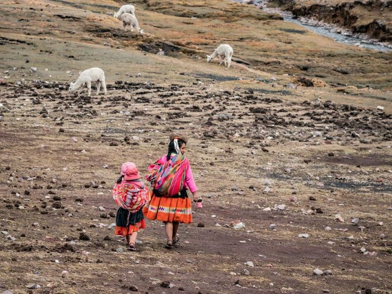 Circuit Privatif Epopée Péruvienne + extension Amazonie pas cher photo 6