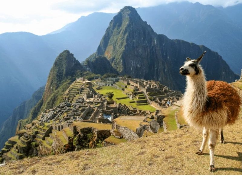 Circuit Privatif Epopée Péruvienne + extension Amazonie pas cher photo 23