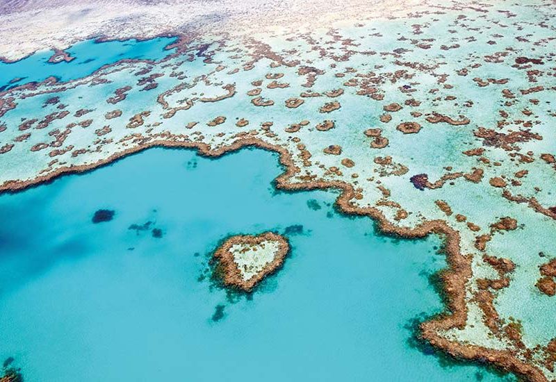 Circuit L'Australie, à la découverte d'un continent pas cher photo 9