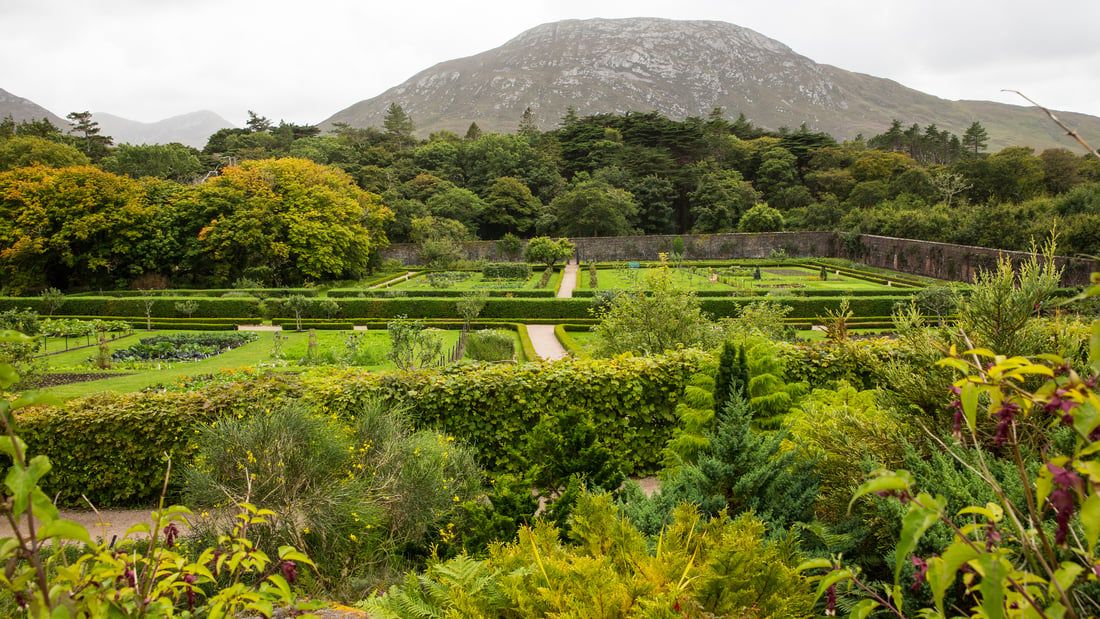 Circuit Beauté Irlandaise pas cher photo 1