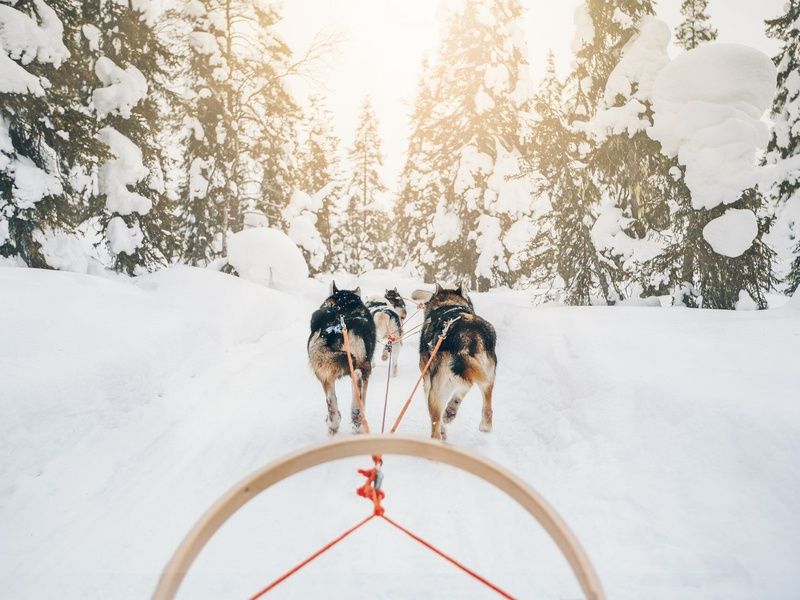 Circuit Aventure Polaire & Igloo en Finlande pas cher photo 1
