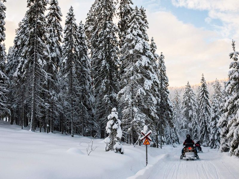 Circuit Aventure Polaire & Igloo en Finlande pas cher photo 2
