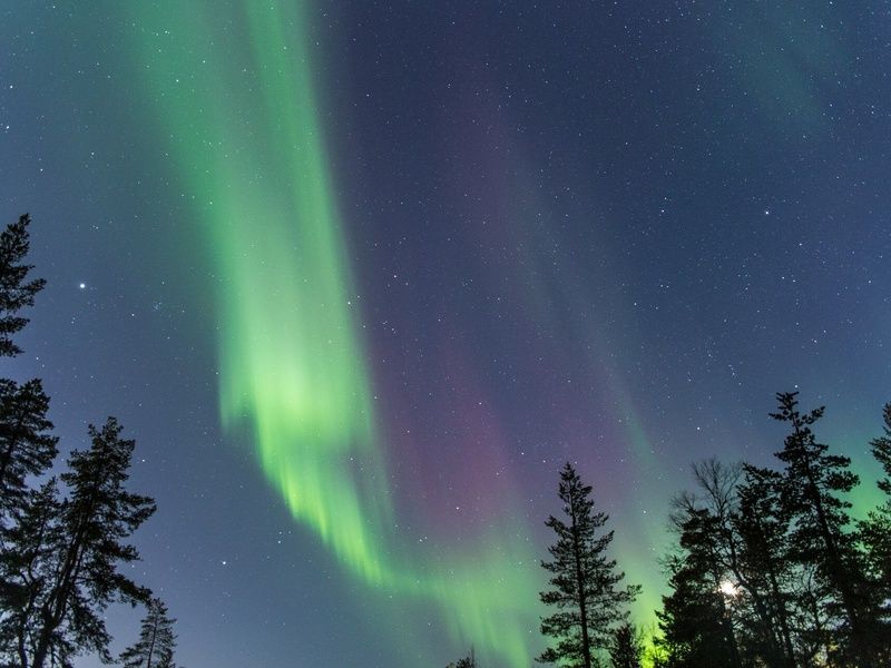 Circuit Aventure Polaire & Igloo en Finlande pas cher photo 6