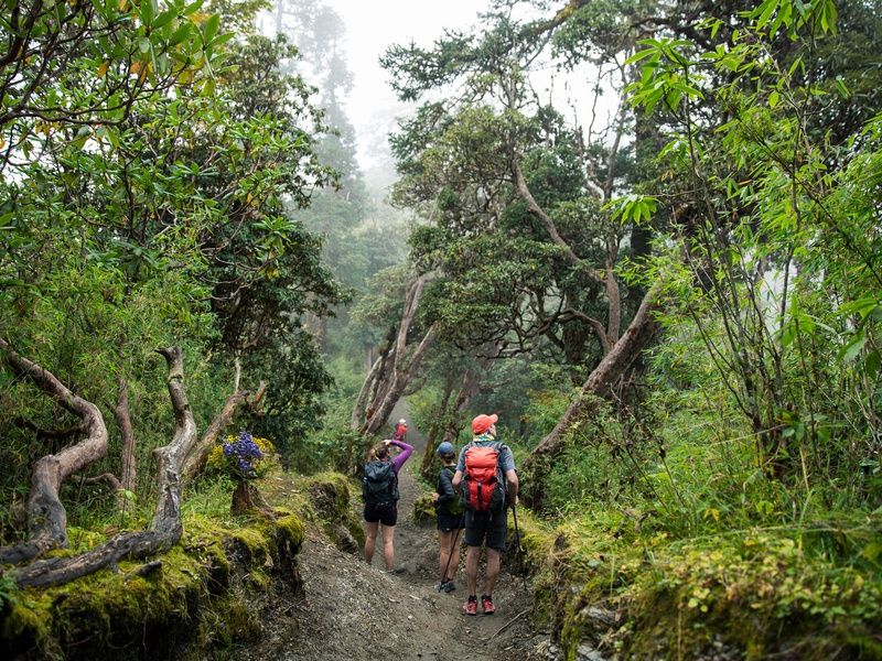 Circuit Trek dans l'Himalaya et réserve de Bardia pas cher photo 3